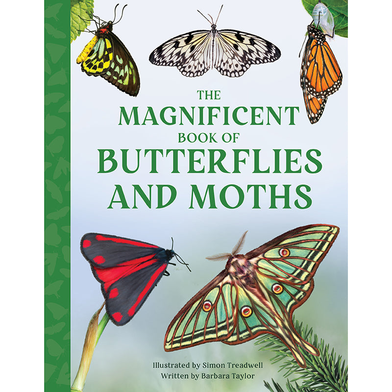The Magnificent Book of Butterflies & Moths