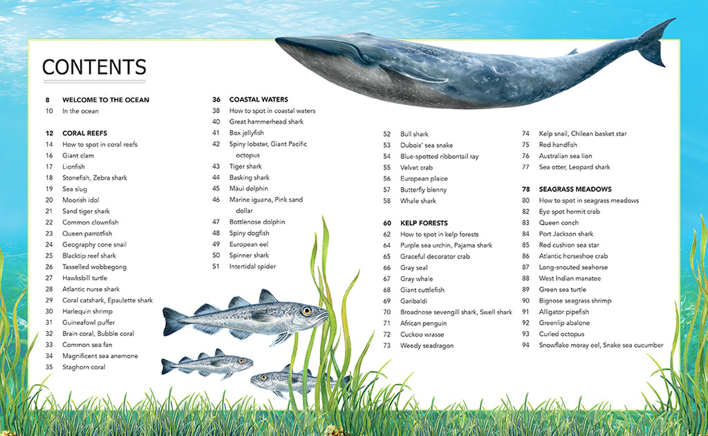 Ocean Creatures: A Spotter's Guide