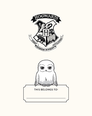 Harry Potter: Hedwig Squishy Lock & Key Diary