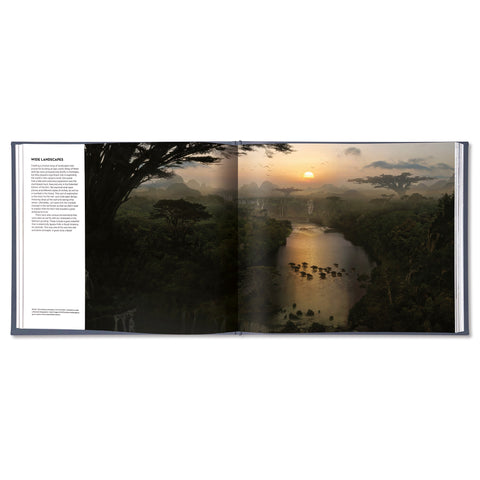 Creating Worlds: The Disney and 20th Century Studios Cinematic Art of Dylan Cole [Collector's Edition]