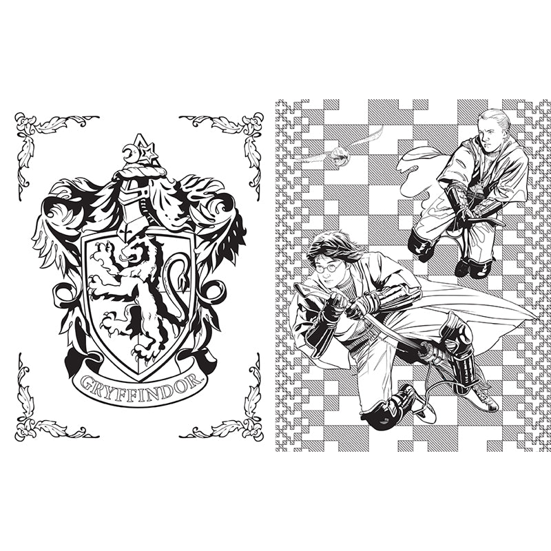 Harry Potter Coloring Book