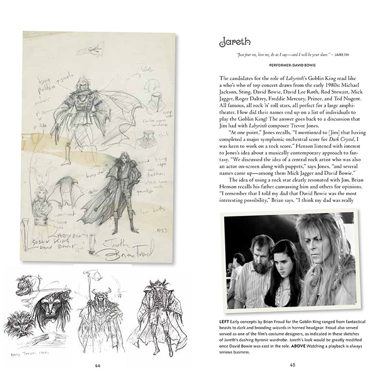 Labyrinth: VHS