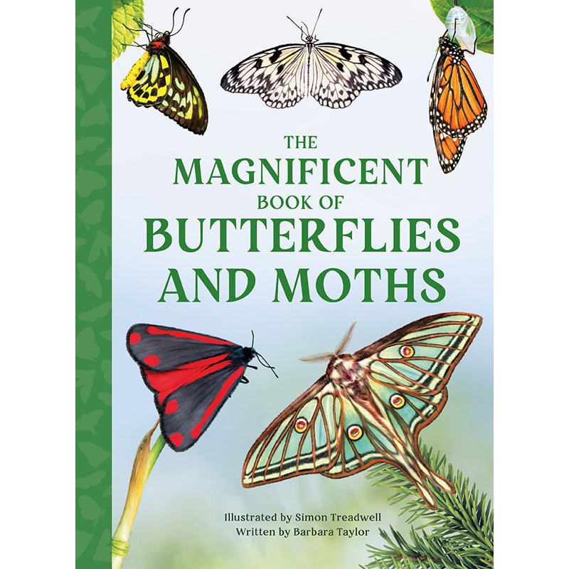 Magnificent Book of Butterflies & Moths