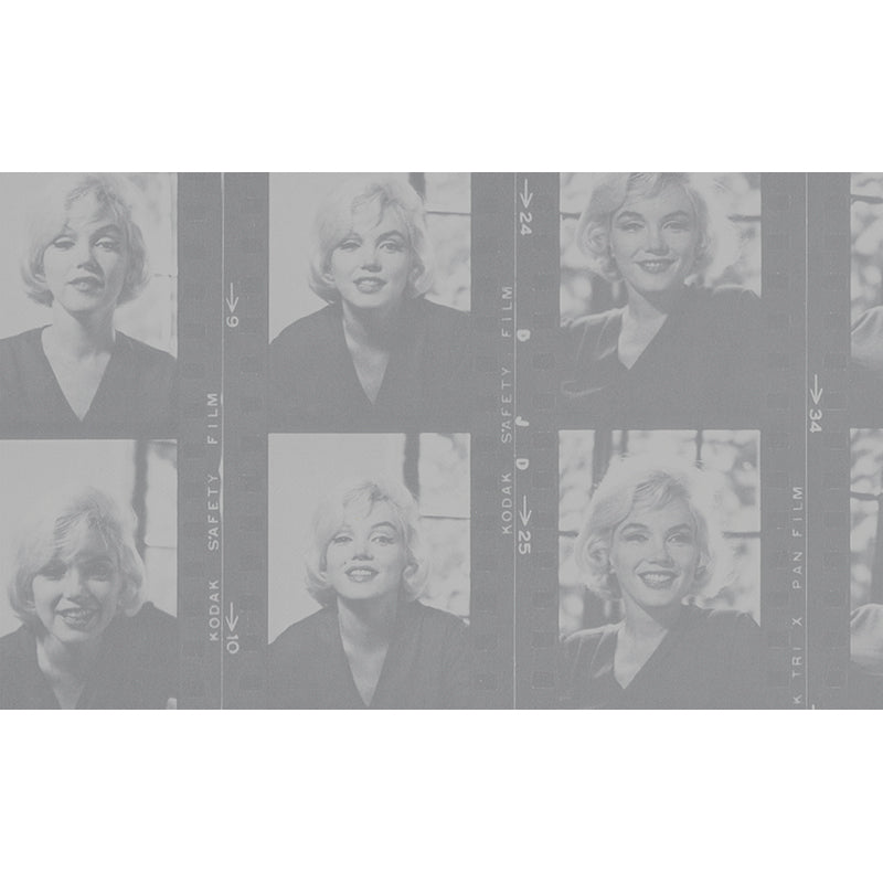 Marilyn: The Lost Photographs, the Last Interview