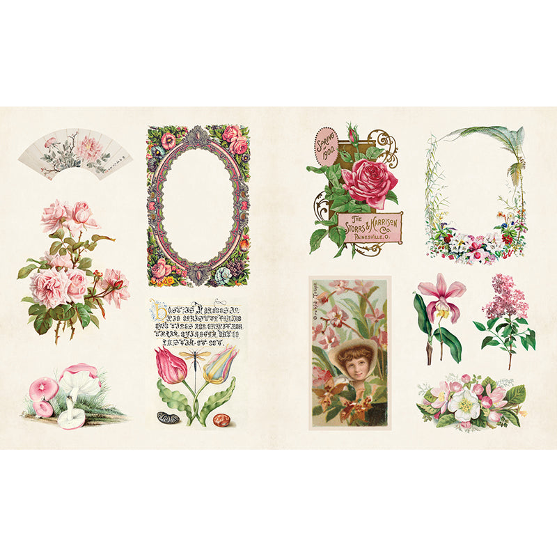 Vintage Botanical Sticker Book