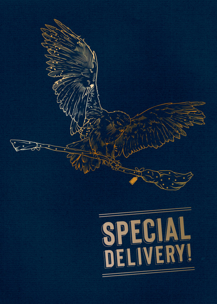 Harry Potter: Hedwig Signature Pop-Up Card