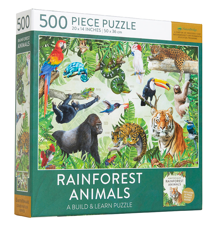 Rainforest Animals